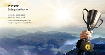 榮譽(yù)資質(zhì)